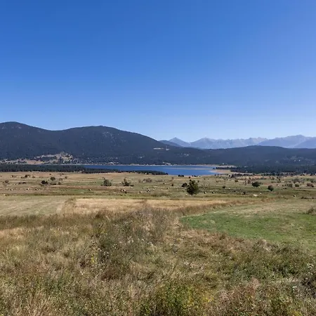 Pervenche - Vue Montagne * Les Angles (Pyrenees-Orientales)